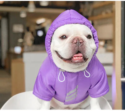 Dog Winter Cotton Clothes for Warmth and Comfort
