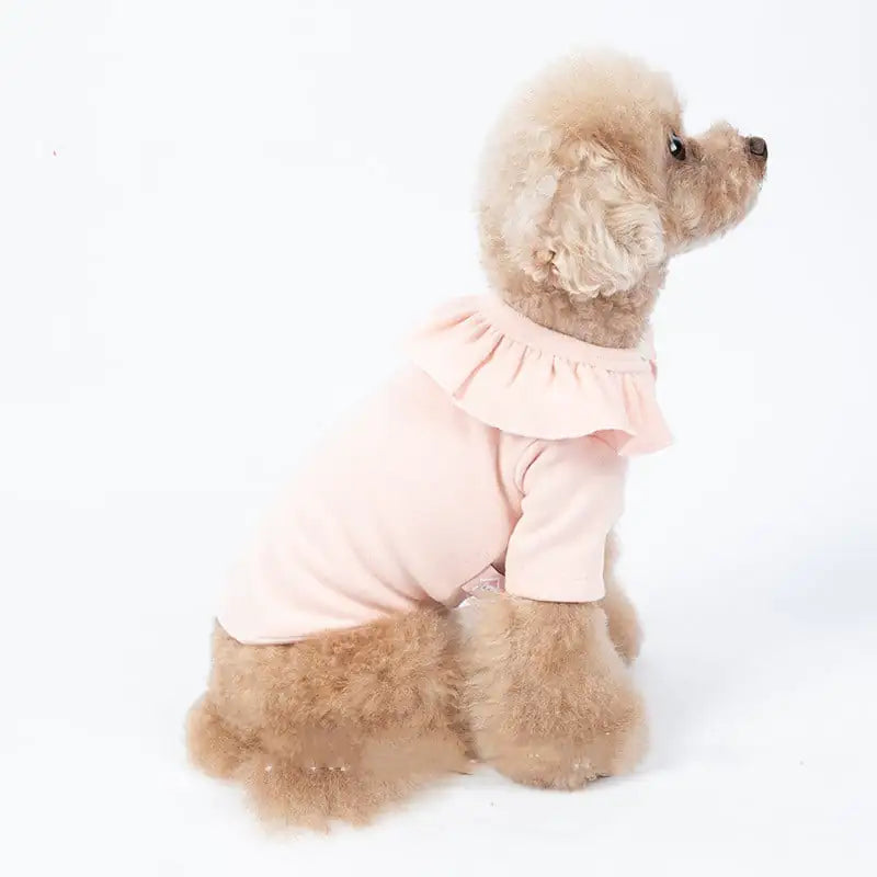 Thickened Long-Sleeved Autumn Winter Pet Clothes