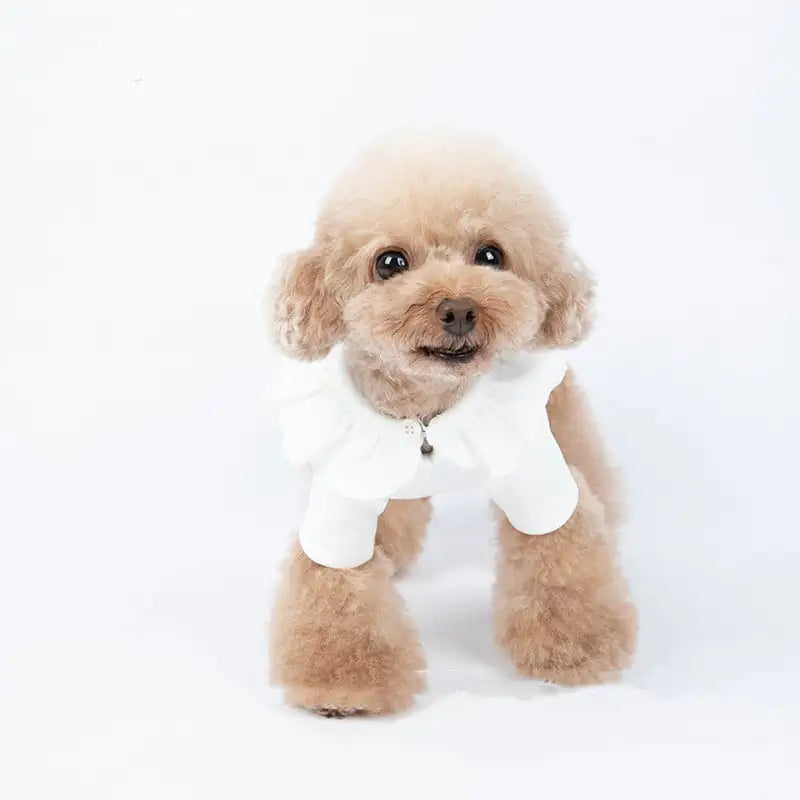 Thickened Long-Sleeved Autumn Winter Pet Clothes