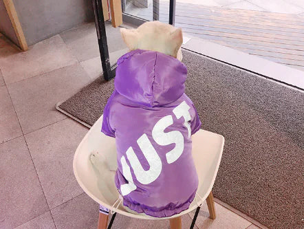 Dog Winter Cotton Clothes for Warmth and Comfort