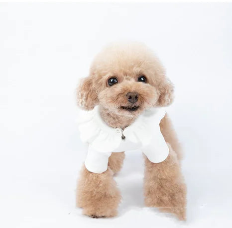 Thickened Long-Sleeved Autumn Winter Pet Clothes