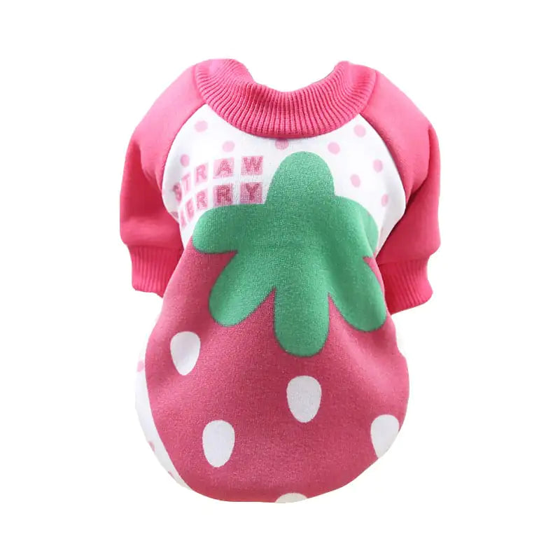 New Dog Clothes for Spring, Autumn, and Winter